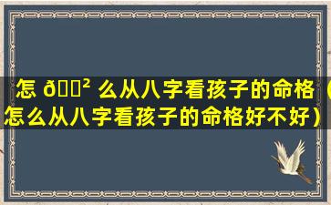 怎 🌲 么从八字看孩子的命格（怎么从八字看孩子的命格好不好）